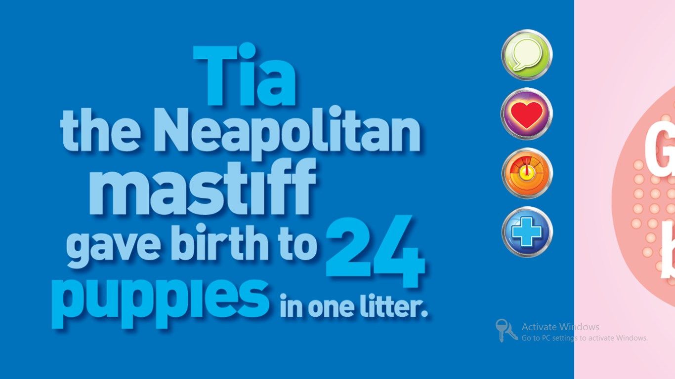 Tia the Neapolitan Mastiff once gave birth to a litter of 24 puppies! Get this and more wild and wacky trivia with Weird But True by National Geographic Kids!