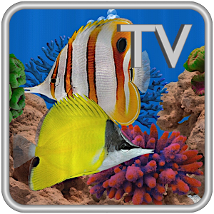 Butterfly Fish Aquarium TV 4k Saltwater Coral Reef