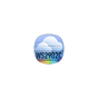AWDash WS2902C