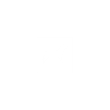 Wallpapers - Dogs