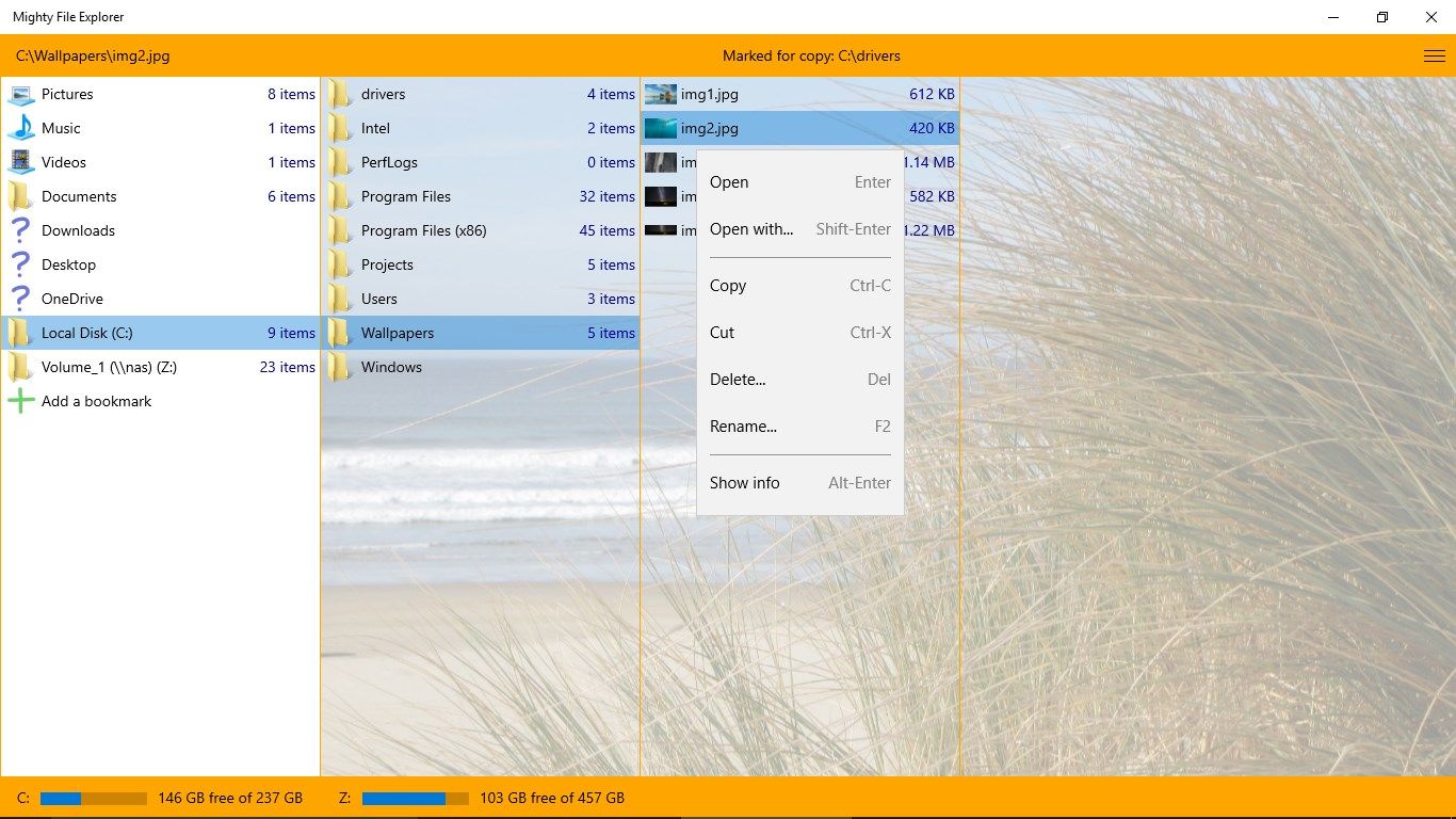 Managing your files and folders is fast and fluent with the intuitive column-based interface.