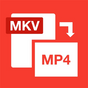 MKV to MP4 Converter Express