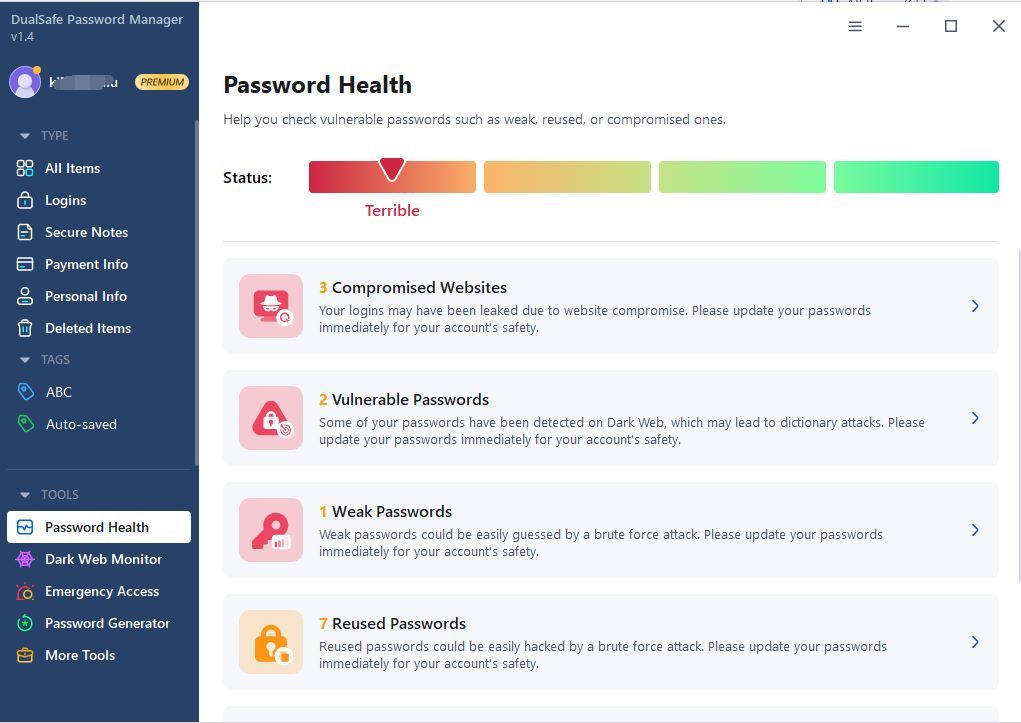 DualSafe Password Manager