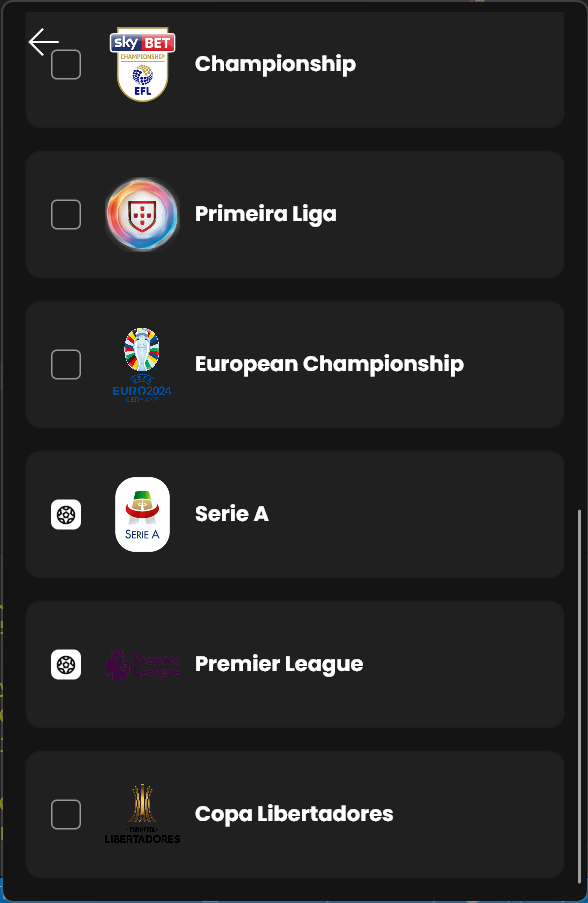 Match options for the Premier League and Copa Libertadores
