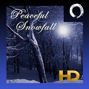 Peaceful Snowfall In HD