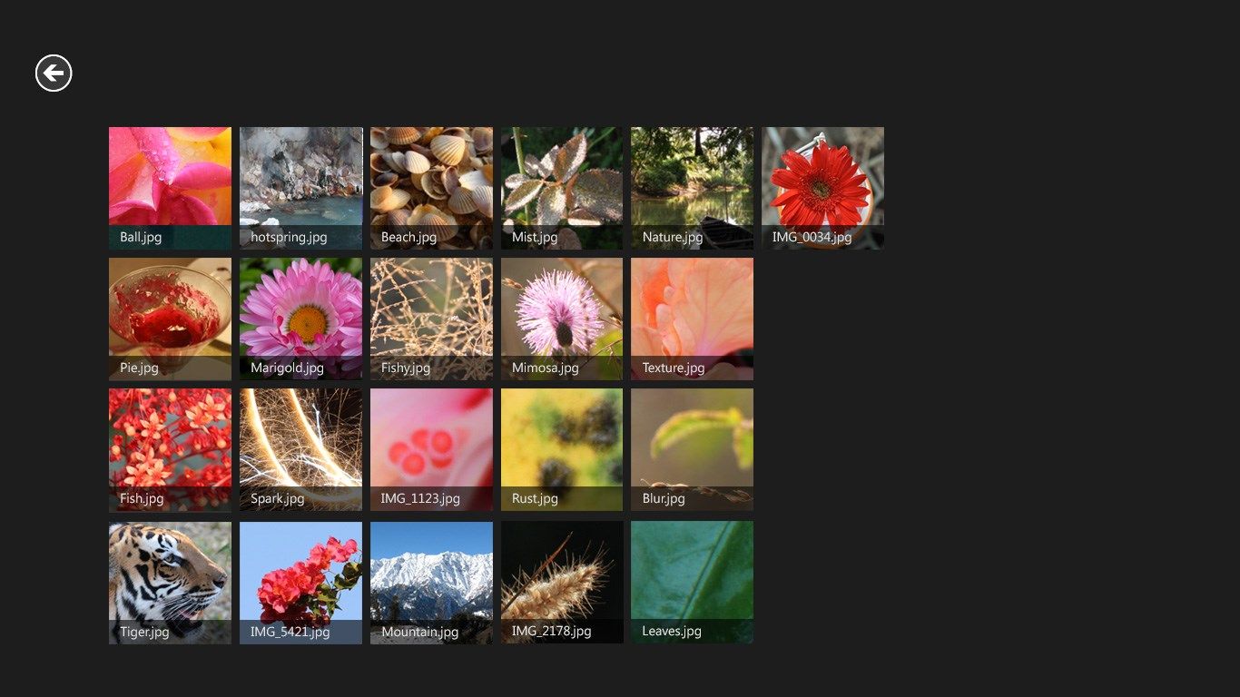 Gallery view of your images