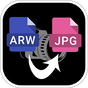 ARW to JPG Converter