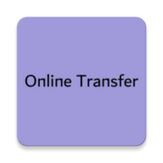 Online Money Transfer Guide