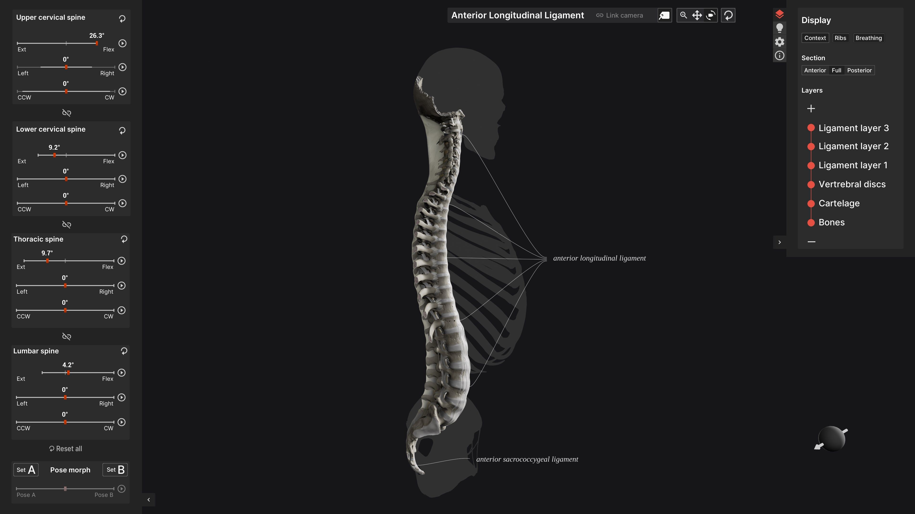 Biomechanics of the Spine