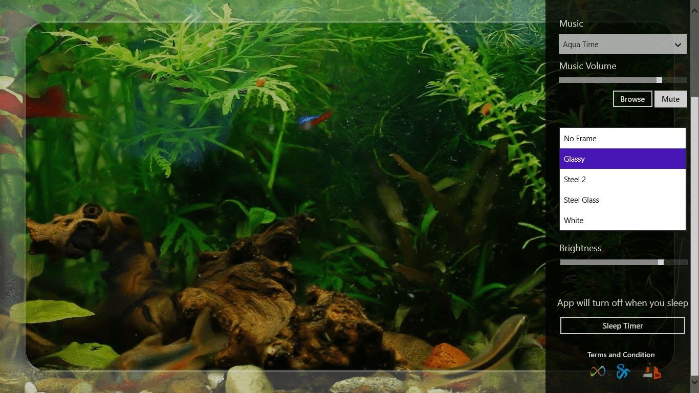 Real green aquarium