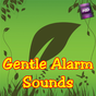 Gentle Alarm Sounds