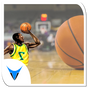 Real Basketball Mania 2015