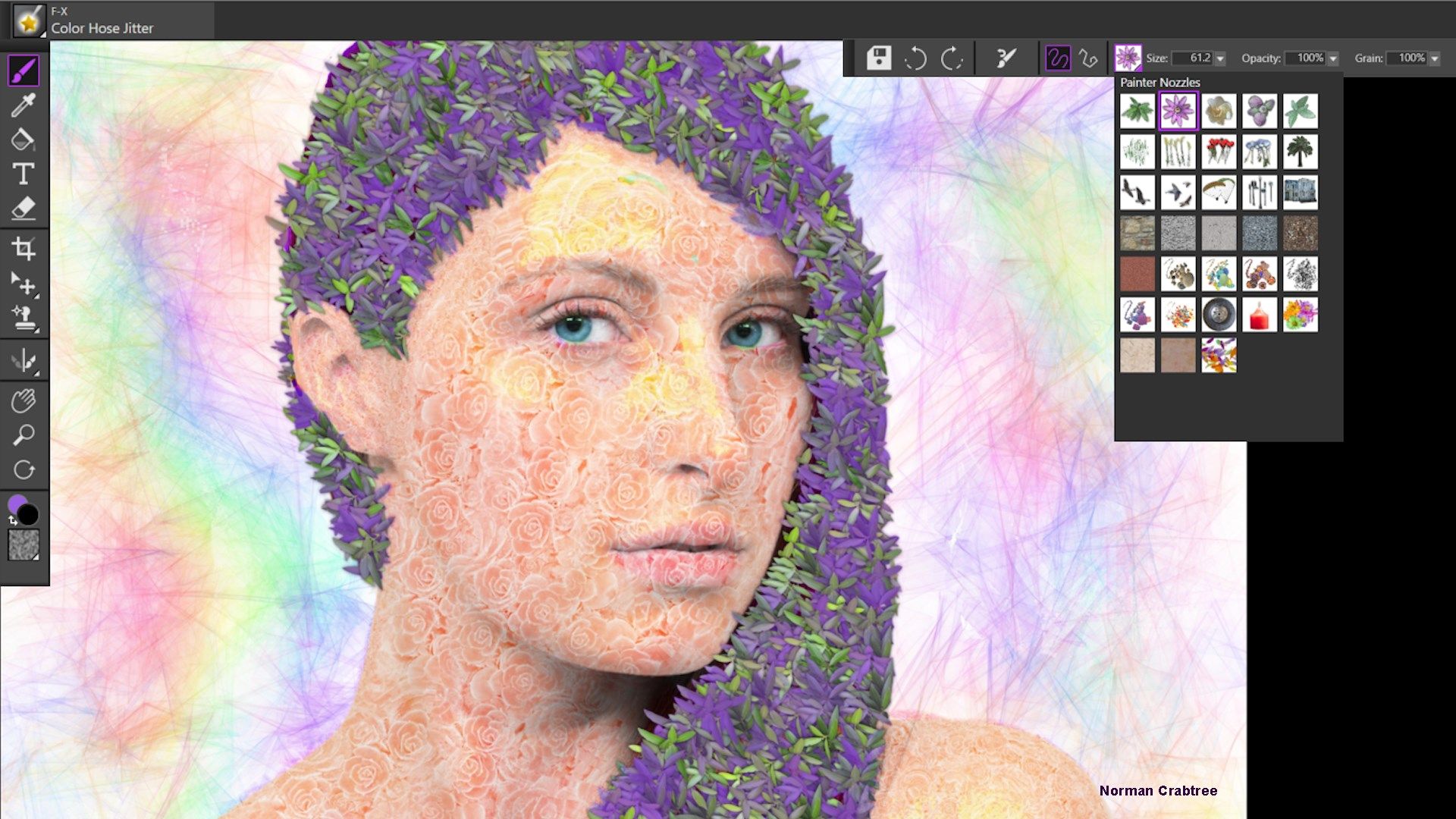 Have fun with FX brushes that spray compelling imagery on your photos, distort brush strokes and add cool effects