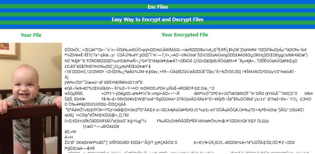 Sample File Before and After Encryption