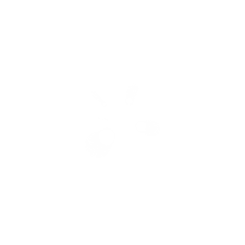 Fast Particle Engine
