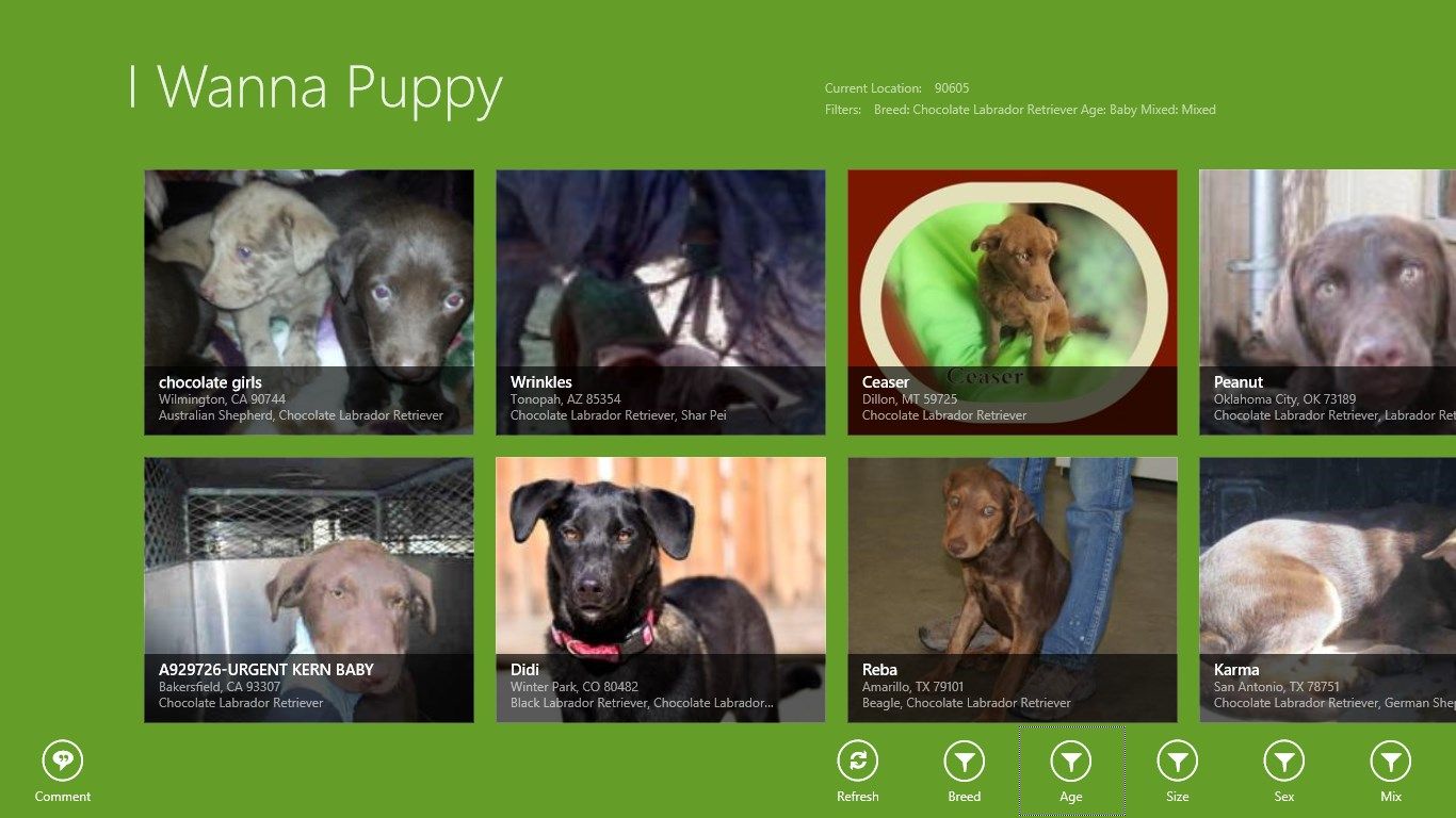 Main application page showing available dogs.