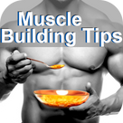Muscles Building Tips
