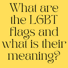 What are the LGBT flags and what is their meaning?