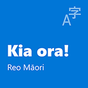 Pōkai Wheako Paetata Reo Māori