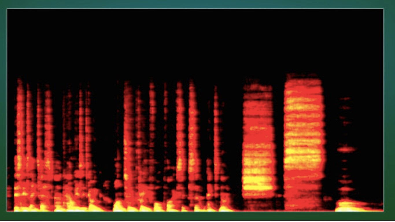 Voca sound spectragram