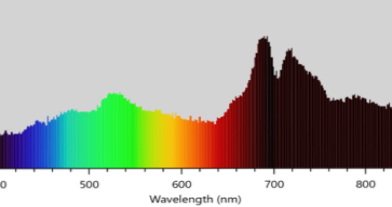 Graph of spectra captured with SpectraCam