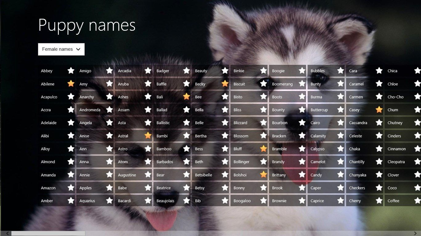 Long list of puppy names