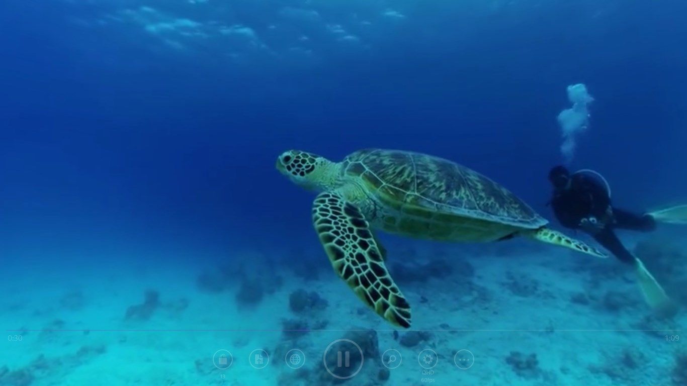 Watch a turtle in the ocean by controlling the video camera.