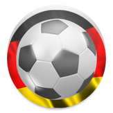 2014 Bundesliga Football