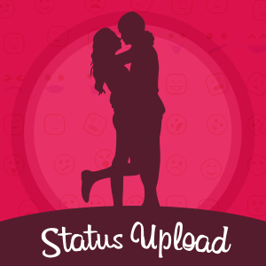 Status Downloader