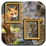 Wild Animal Photo Frame Dual