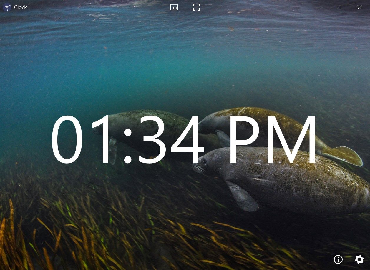 You can use Bing's Daily Picture as the background of the app.