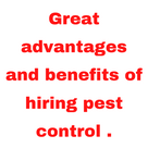 Great advantages and benefits of hiring pest control .
