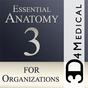Essential Anatomy 3 for Organizations