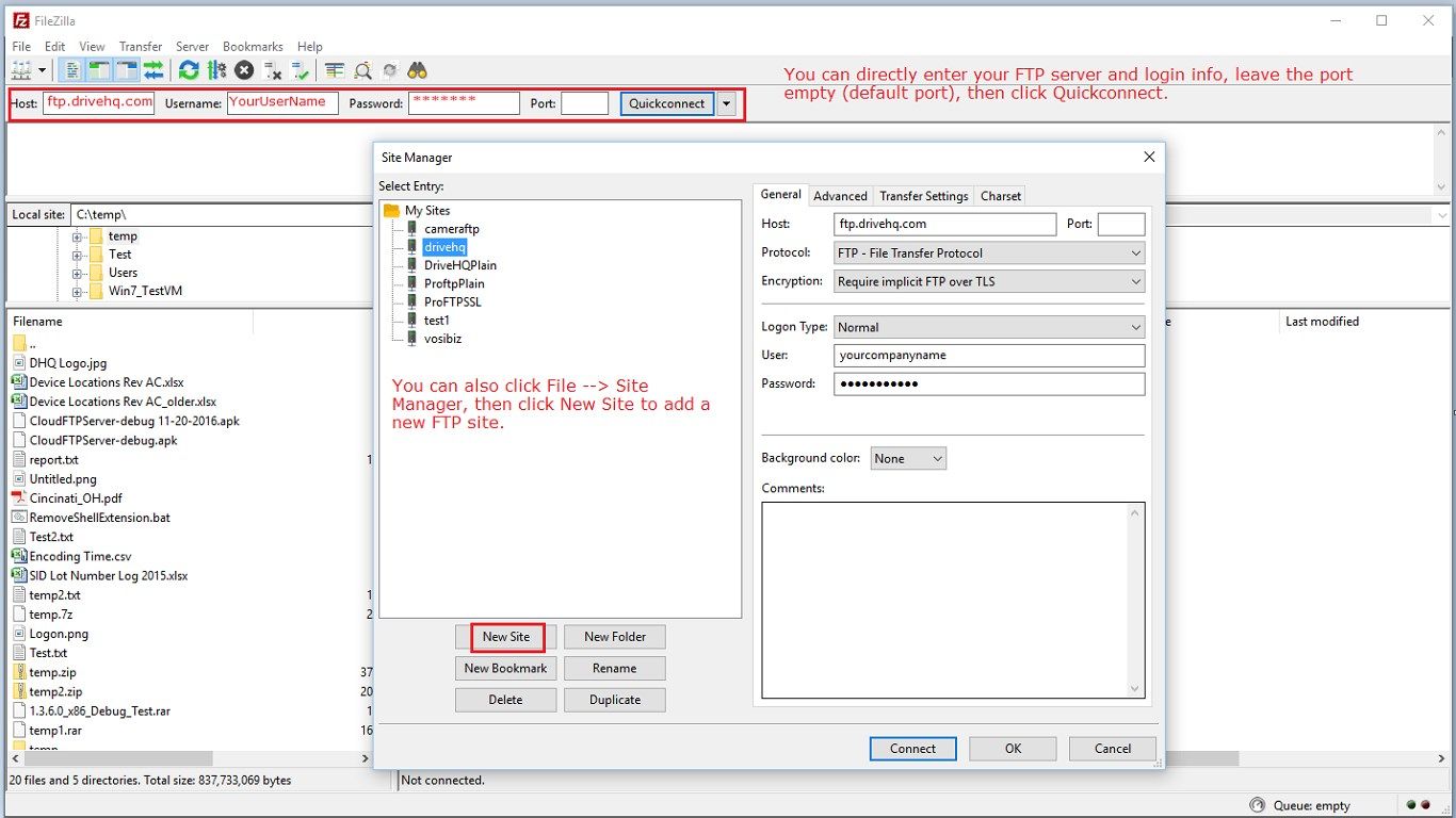 Config FileZilla to connect to the Cloud FTP Server.
