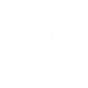 Thermometrum
