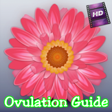 Ovulation Guide