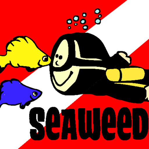 Seaweed Diver - Scuba Store
