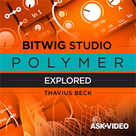 Polymer Explored for BitWig Studio