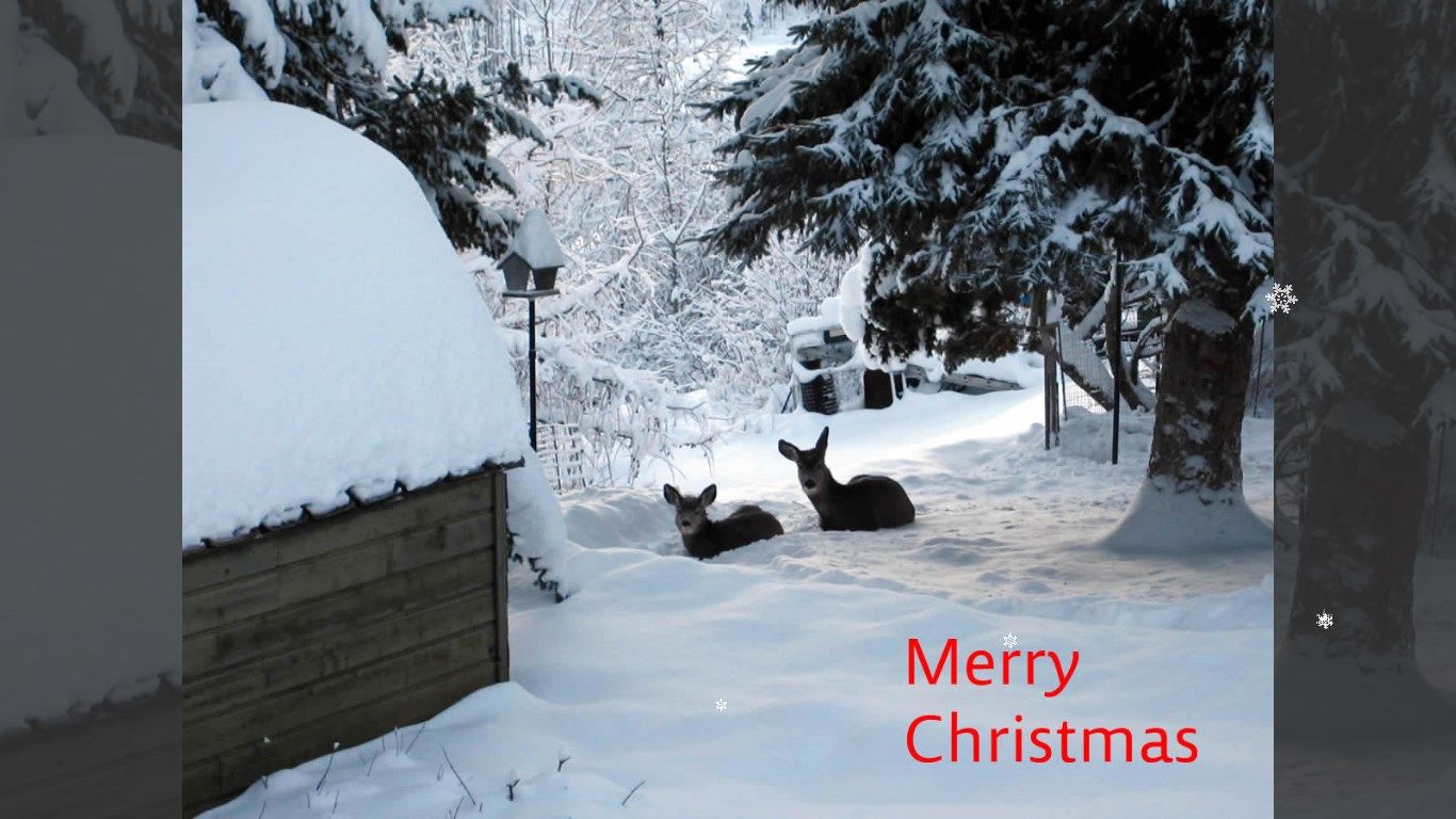 Merry Christmas from Best Christmas and Kimberley, BC in the Kootenays, near the Rocky Mountains in Canada. :)