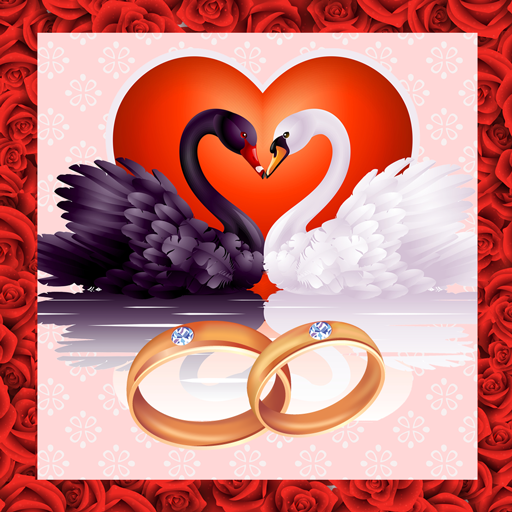 Anniversary Greeting Cards
