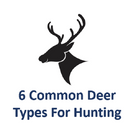 6 Common Deer Types For Hunting