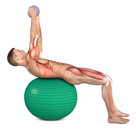 Back Exercises for a Strong Spine & Core - Prevent Back Pain