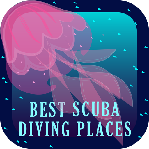 Best Scuba Diving Places