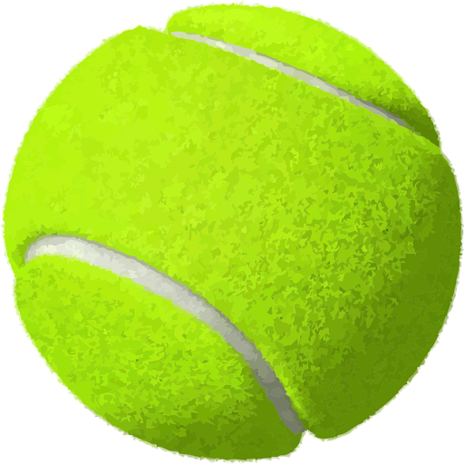 Tennis Guide for Beginners