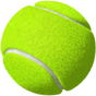 Tennis Guide for Beginners