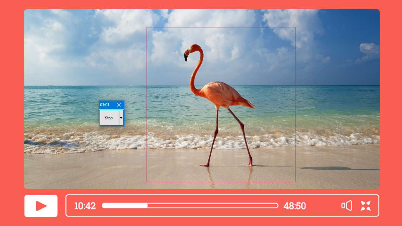 A timer on the button head shows the recording time, finish recording by clicking stop & save your video.