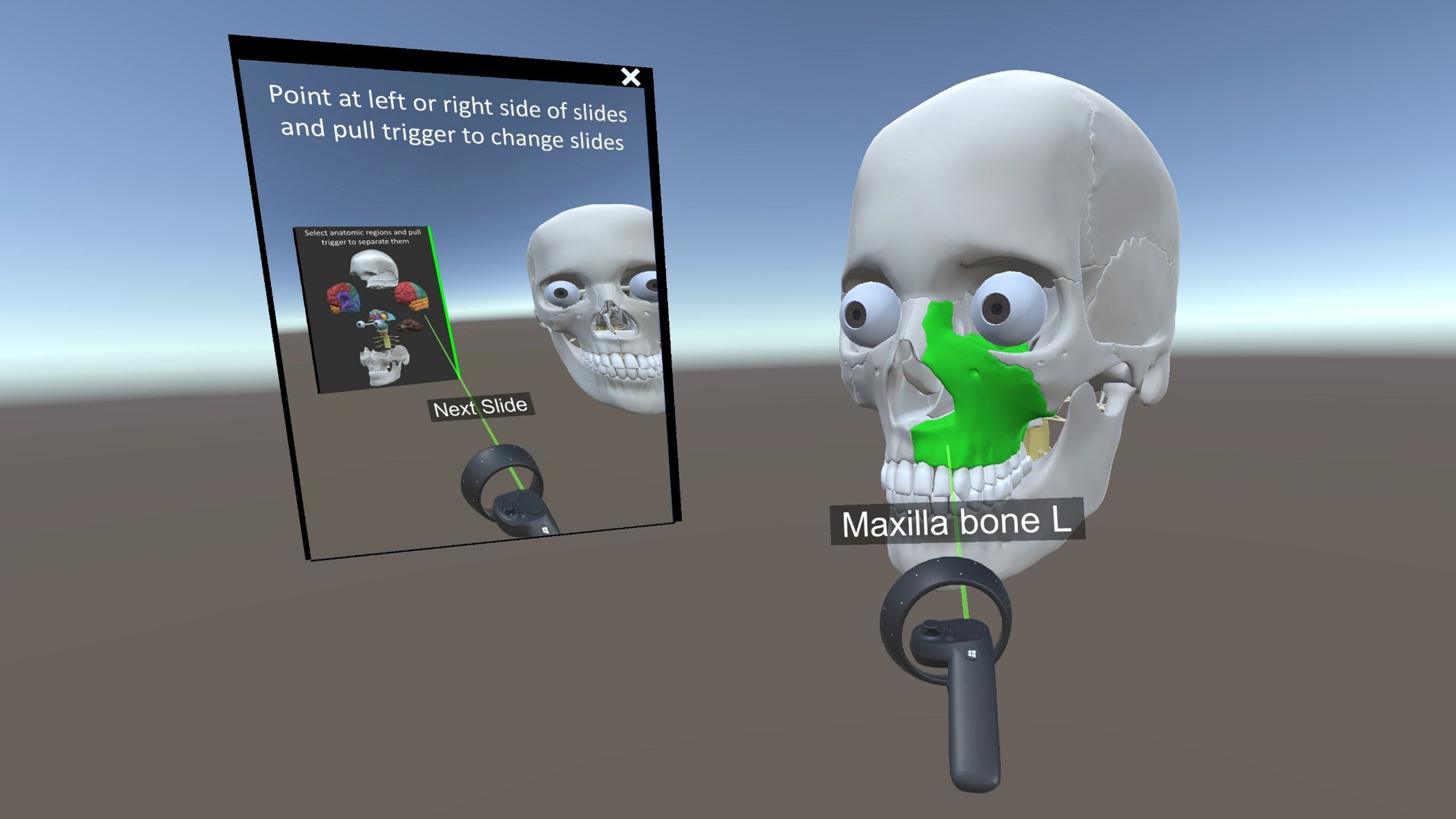 Brain Anatomy VR