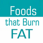 Best Foods That Burn Your Fat - Lose Weight While You Sleep & Live Healthy!