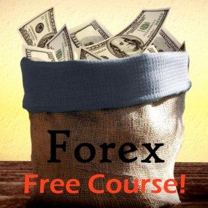 Forex trading course - currency exchange investor guide