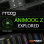 Explore Guide For Animoog Z